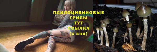 прущие крисы Чегем