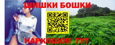 гашик Дубна