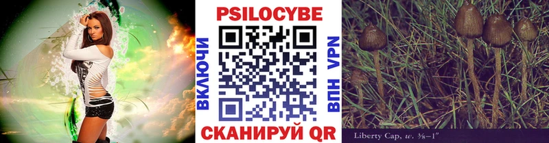 где можно купить наркотик Пенза Галлюциногенные грибы MAGIC MUSHROOMS