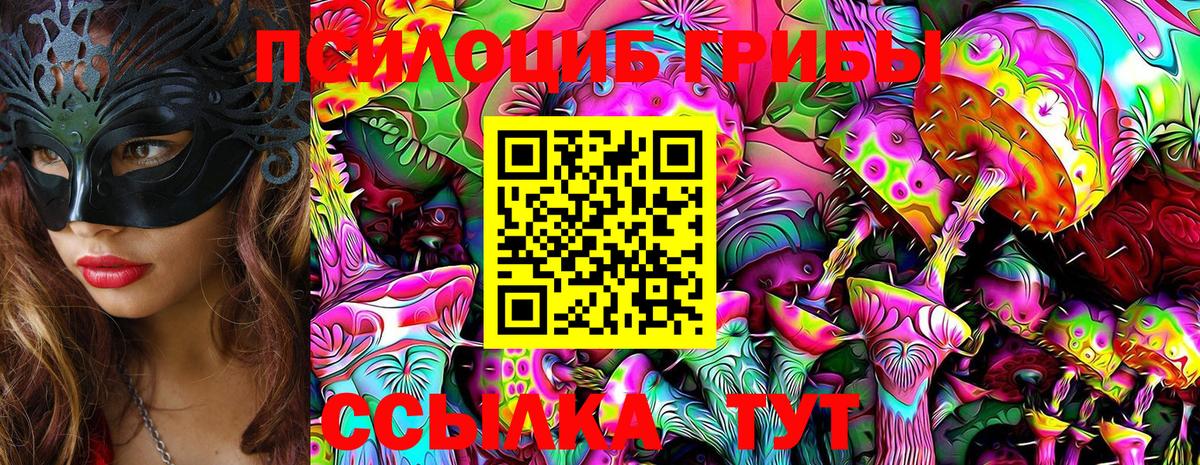 Псилоцибиновые грибы GOLDEN TEACHER Пенза