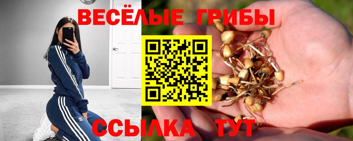 Псилоцибиновые грибы Magic Shrooms Пенза