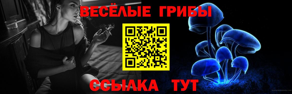 Псилоцибиновые грибы GOLDEN TEACHER  Пенза 